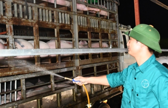 Giá lợn mãi không giảm, Bộ NN&PTNT “bêu” tên doanh nghiệp lớn