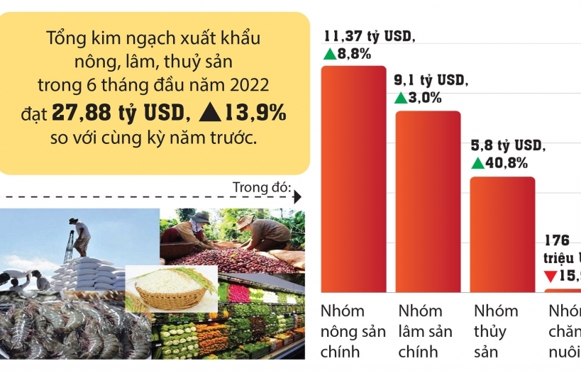 Infographics: Ngành nông nghiệp xuất siêu 5,75 tỷ USD trong 6 tháng