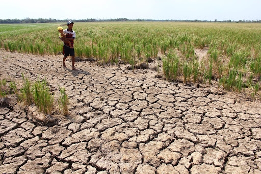 Biến đổi khí hậu là thách thức lớn nhất với sản xuất lương thực ASEAN