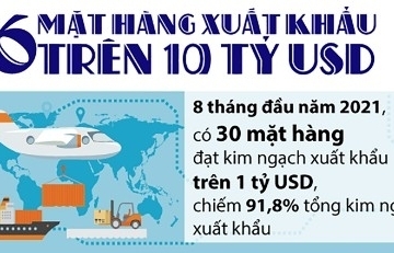 infographics 6 mat hang xuat khau tren 10 ty usd