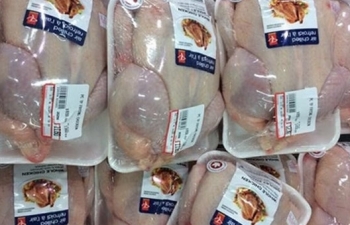 150 nghìn tấn thịt gà ùn ùn về Việt Nam với giá chưa tới 1 USD/kg