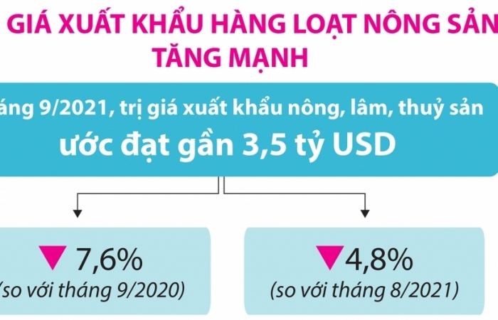 infographics tri gia xuat khau hang loat nong san tang manh