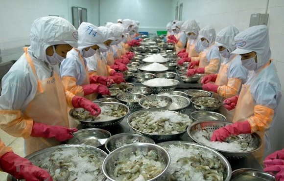Trung Quốc siết chặt kiểm tra quá cảnh thực phẩm đông lạnh nhập khẩu