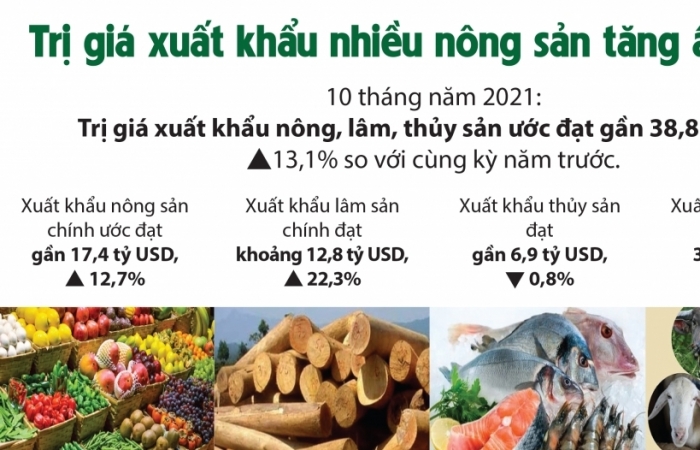 infographics tri gia xuat khau nhieu nong san tang an tuong