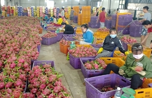 Trung Quốc kiểm tra chặt hoa quả và thuỷ sản nhập khẩu từ Việt Nam