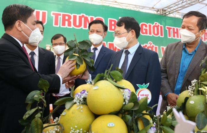 50 doanh nghiệp lớn chung tay tiêu thụ nông sản cho Bắc Giang