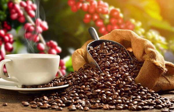 Thị phần cà phê Việt Nam tại Trung Quốc giảm mạnh