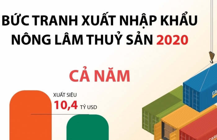 infographics nong san xuat sieu an tuong 104 ty usd nam 2020