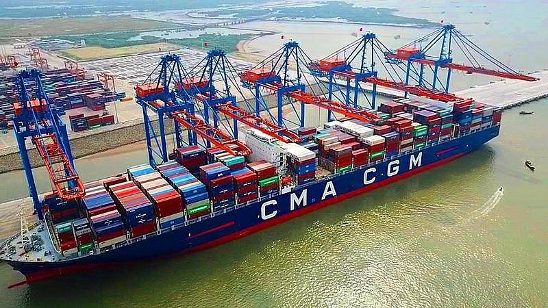 Hãng tàu đầu tiên tại Việt Nam cam kết không tăng giá cước vận tải container