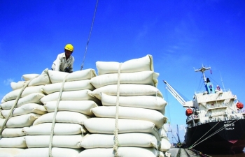 Châu Phi dự kiến nhập khoảng 17,7 triệu tấn gạo, cơ hội cho Việt Nam