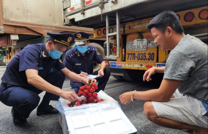 Hải quan Lạng Sơn phối hợp đảm bảo chặt quy trình kiểm tra, kiểm dịch trái cây tươi XK