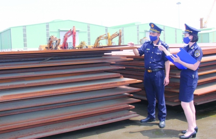 Hướng dẫn nhập khẩu gỗ, đảm bảo gỗ hợp pháp