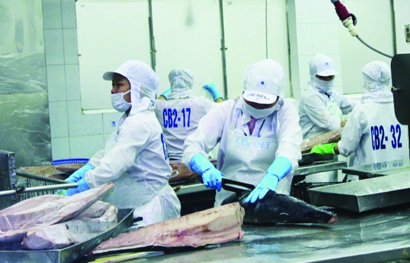 Doanh nghiệp mở rộng thêm được 10 thị trường xuất khẩu cá ngừ