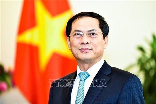 Bộ trưởng Ngoại giao trả lời phỏng vấn về chuyến đi của Chủ tịch nước | Chính trị | Vietnam+ (VietnamPlus)