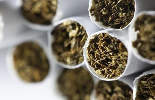Hải quan Bỉ bắt giữ lượng lớn thuốc lá lậu