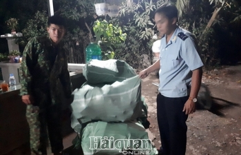Hải quan An Giang bắt vụ xuất lậu khẩu trang lớn sang Campuchia