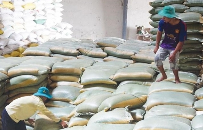 Giá gạo Việt Nam, Ấn Độ, Thái Lan đồng loạt giảm