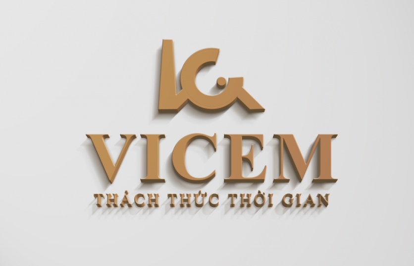 Đề nghị giám sát việc quản lý và sử dụng vốn đầu tư ra ngoài doanh nghiệp của Vicem