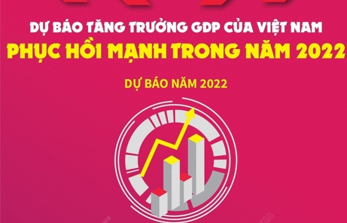 Infographics: Dự báo tăng trưởng GDP của Việt Nam phục hồi mạnh trong năm 2022