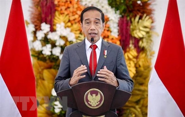 Indonesia thuc day trien khai cac thoa thuan tai Hoi nghi G20 hinh anh 1