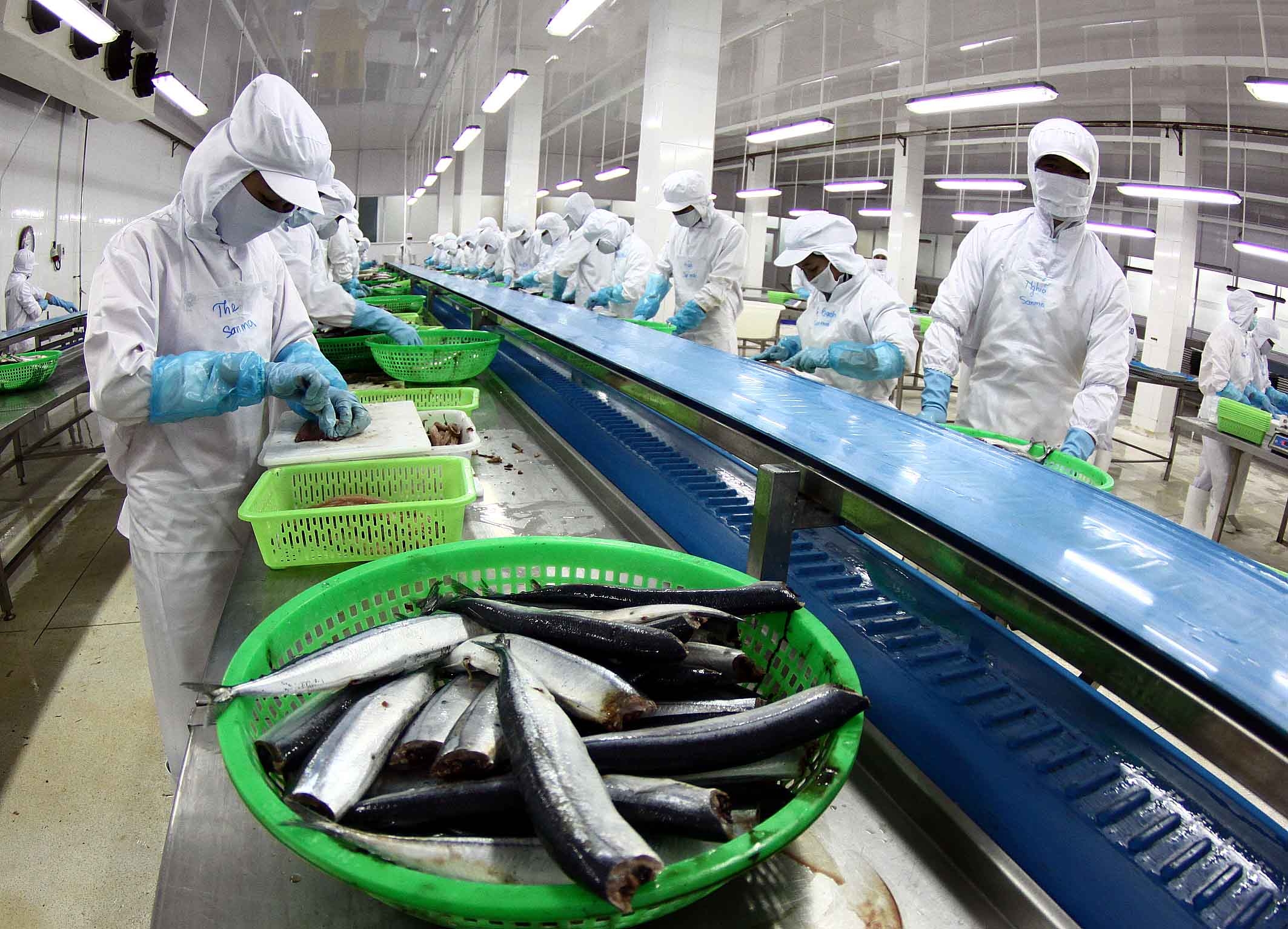 xây dựng đội ngũ chuyên biệt để nghiên cứu sáng tạo và thiết kế ra nhiều dạng thức đồ họa mới mẻ sinh động Ảnh Hà Phương